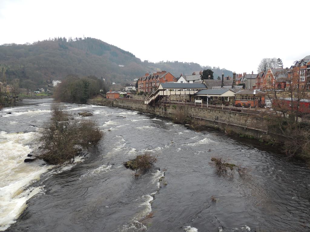 DSCN7696.JPG