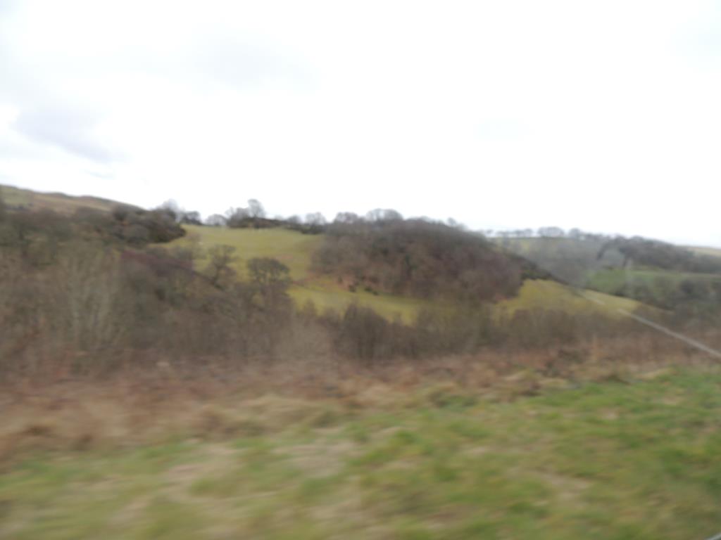 DSCN7700.JPG