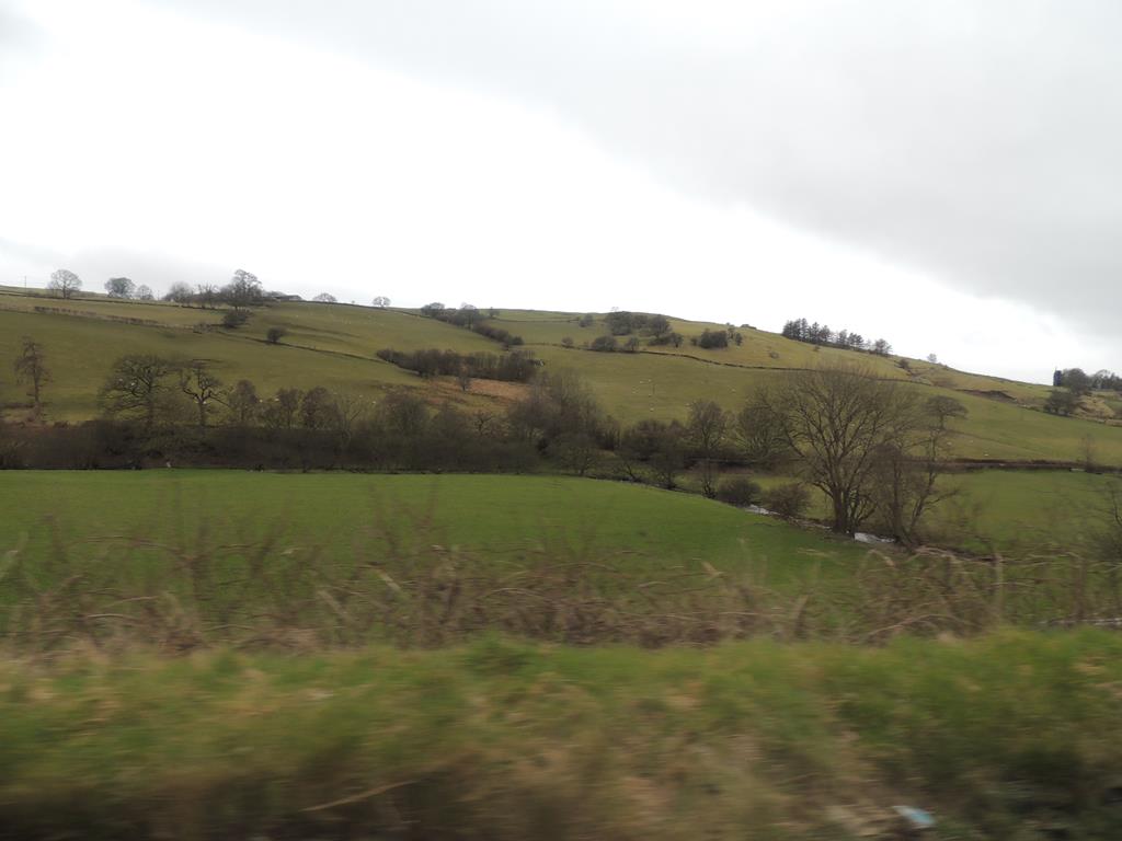 DSCN7701.JPG