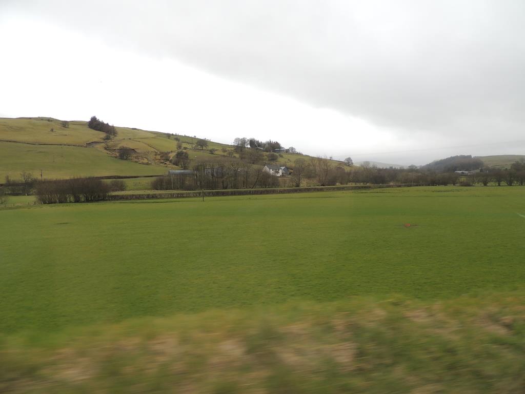 DSCN7702.JPG