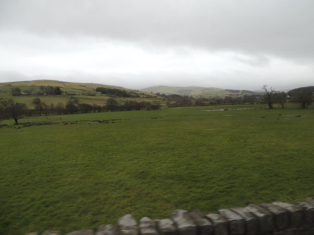 DSCN7703.JPG