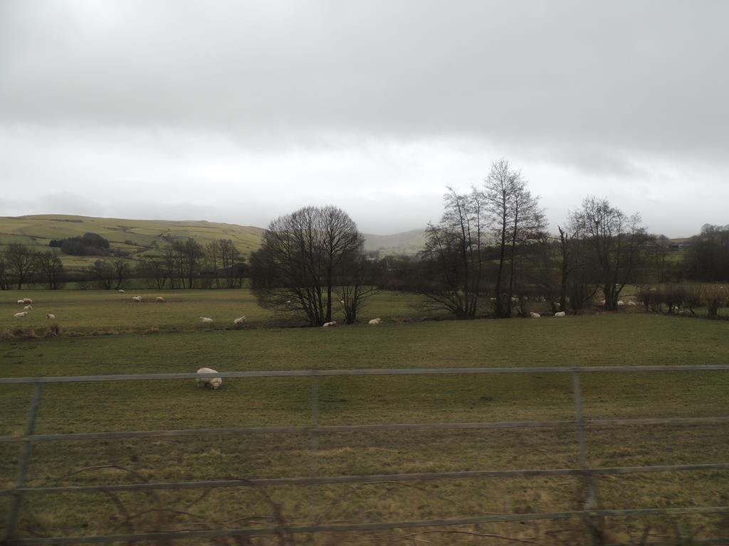 DSCN7704.JPG