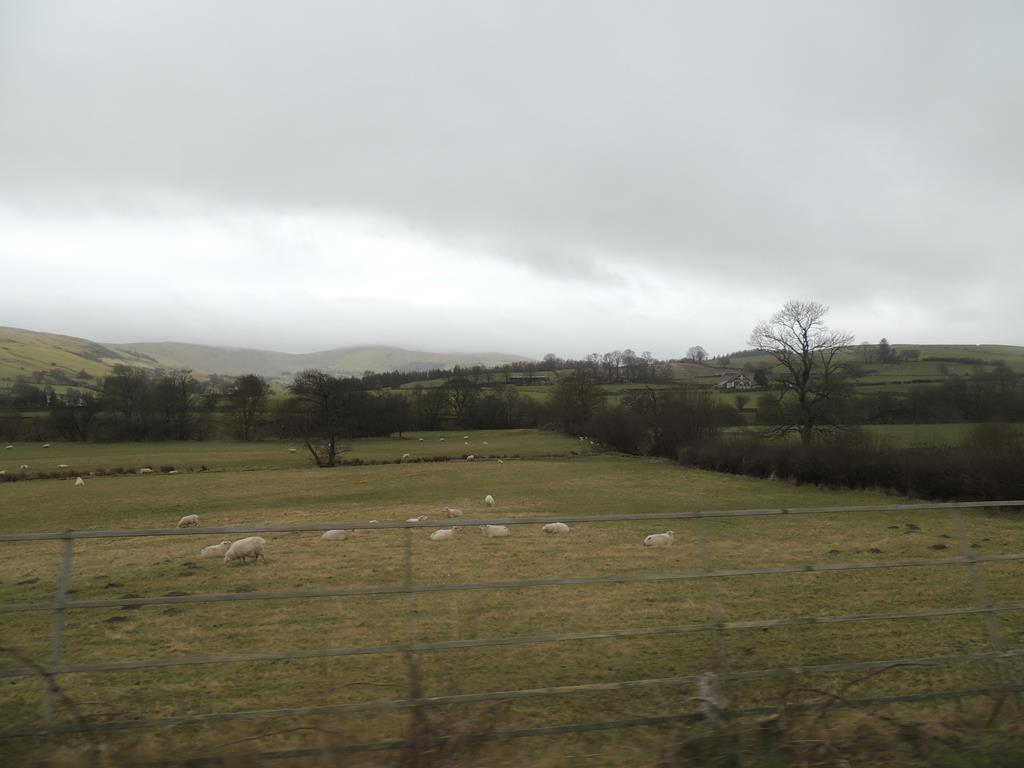 DSCN7705.JPG