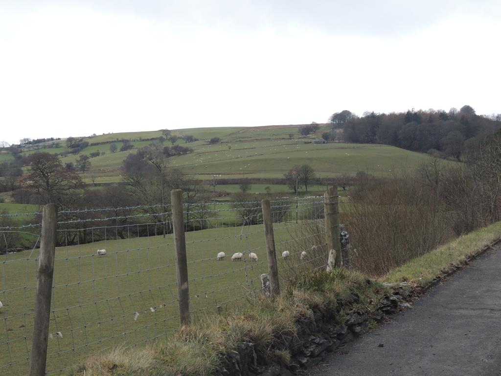 DSCN7707.JPG