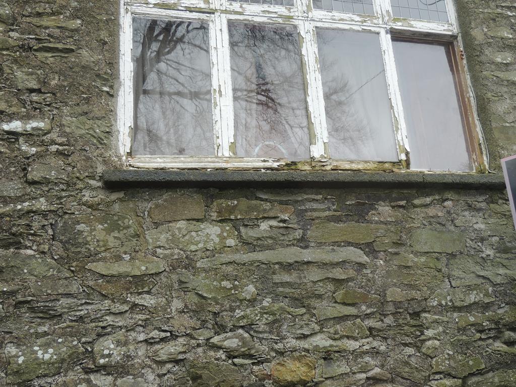 DSCN7708.JPG