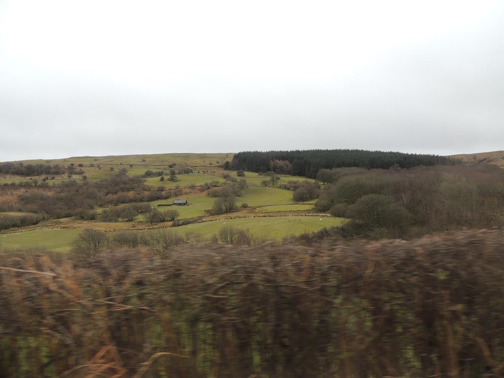 DSCN7713.JPG