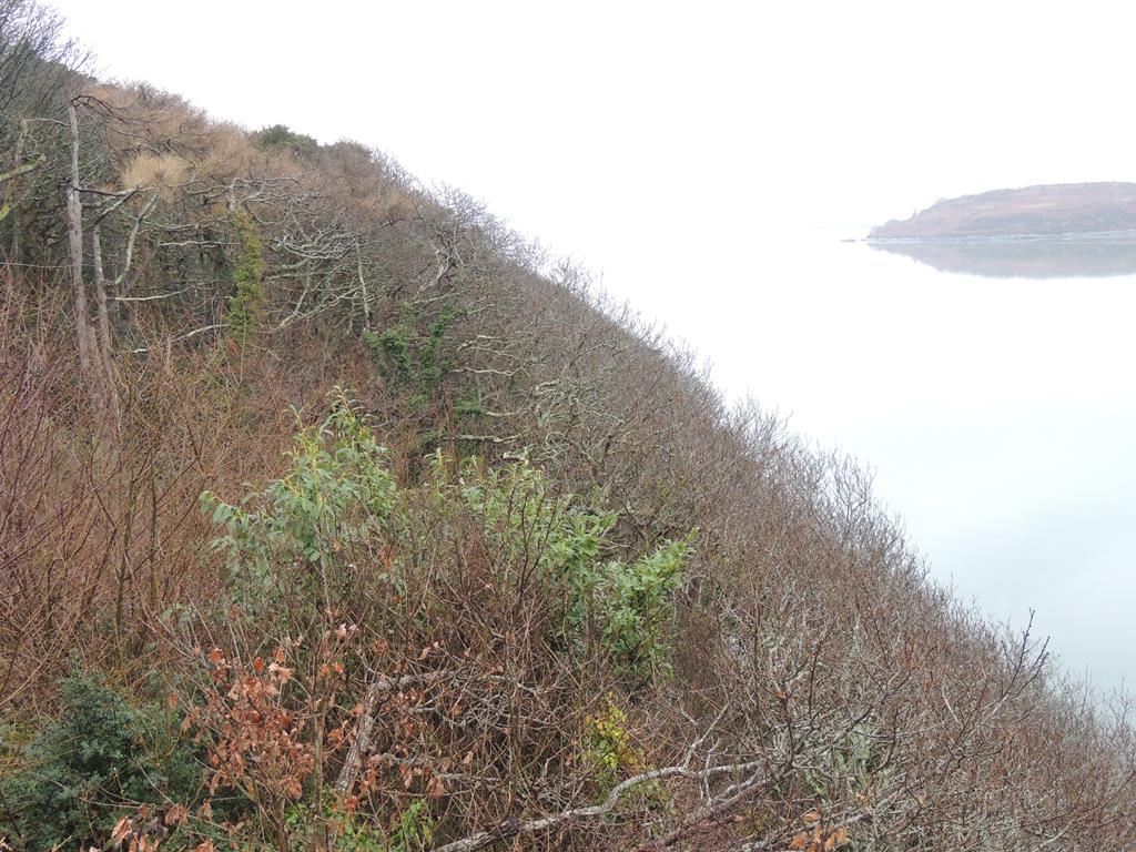 DSCN7731.JPG