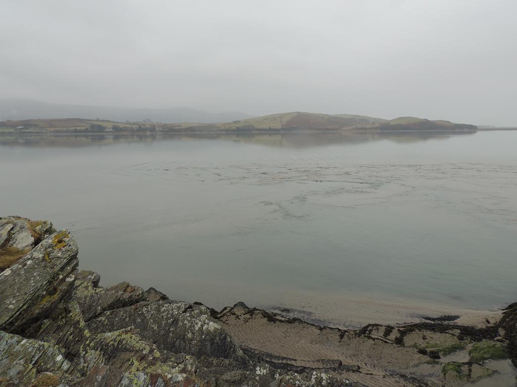 DSCN7763.JPG