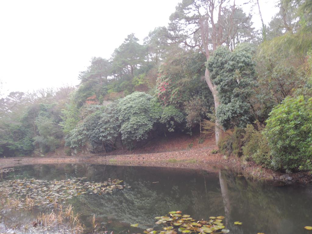 DSCN7777.JPG