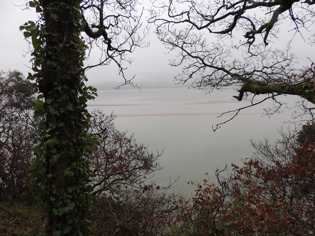 DSCN7778.JPG