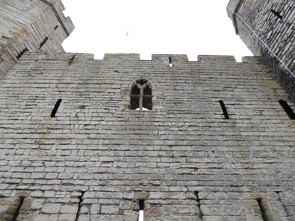 DSCN7790.JPG