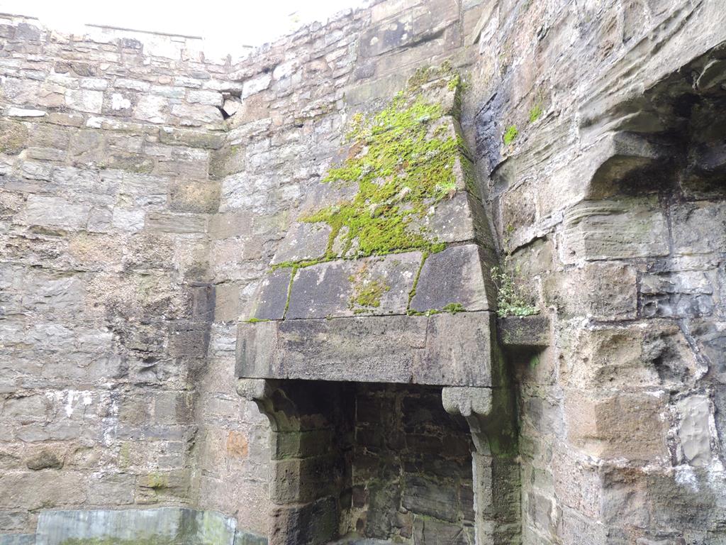 DSCN7814.JPG
