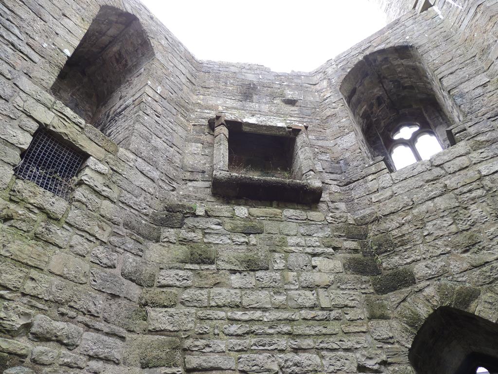 DSCN7823.JPG
