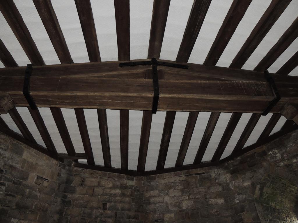 DSCN7828.JPG