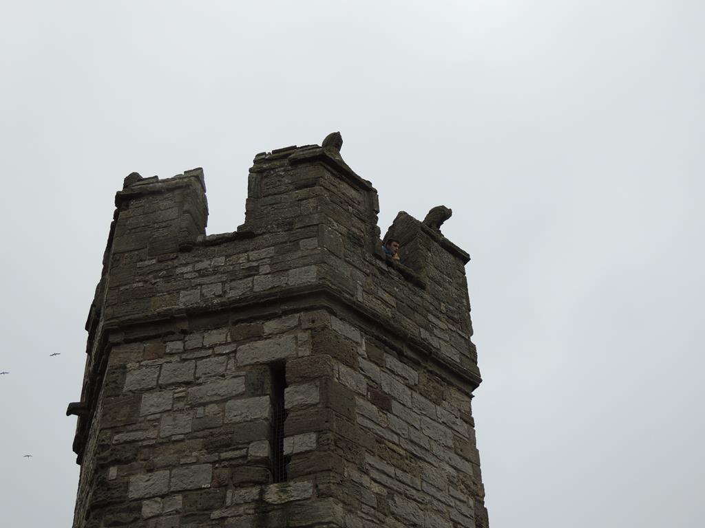 DSCN7838.JPG