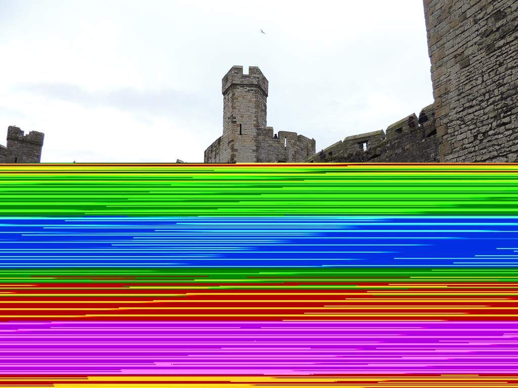 DSCN7865.JPG