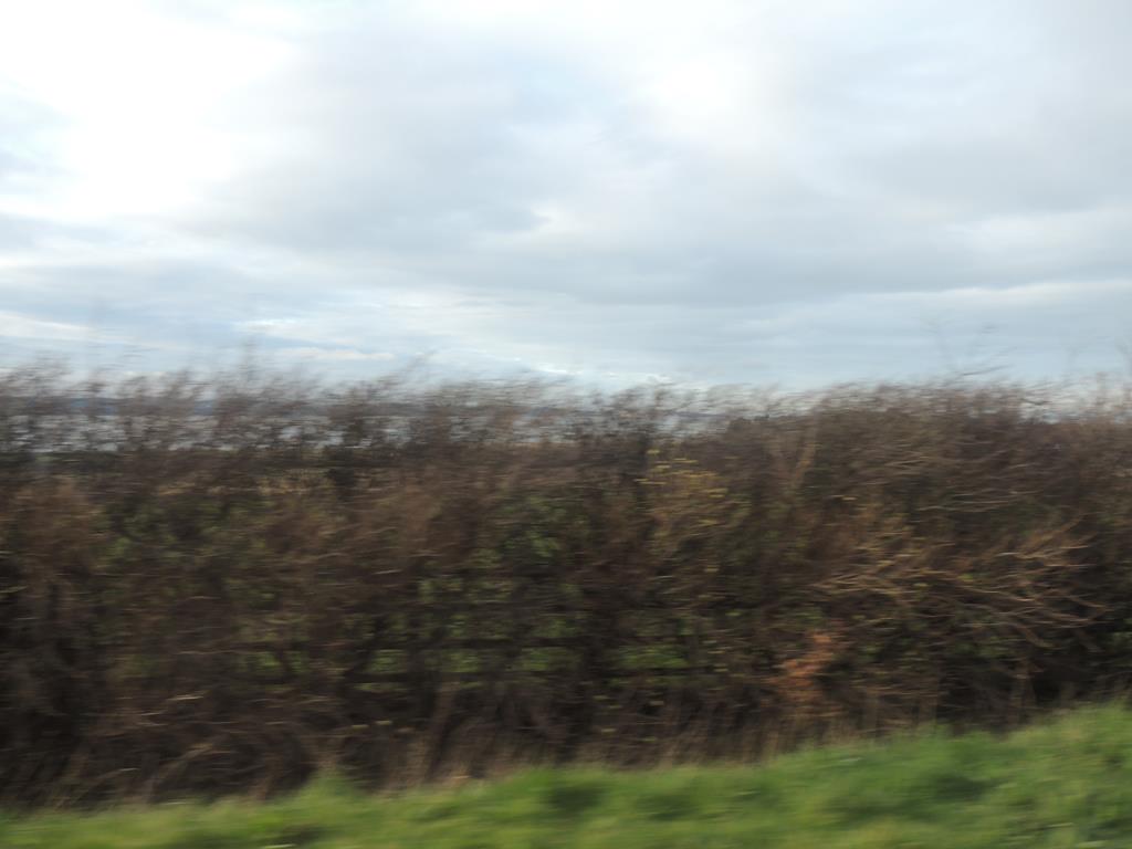 DSCN7868.JPG