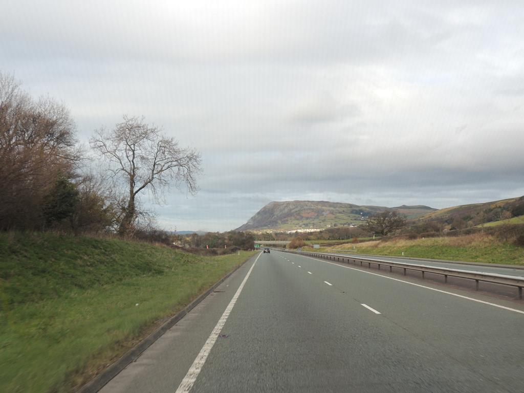 DSCN7869.JPG