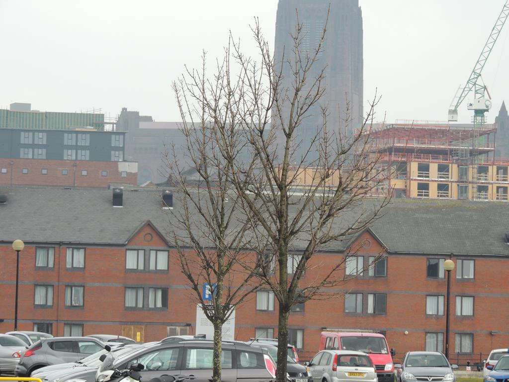 DSCN7888.JPG