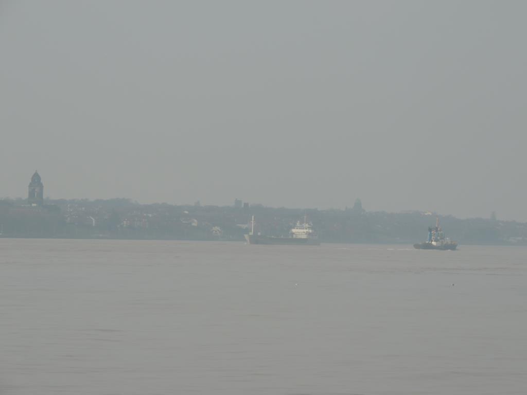 DSCN7911.JPG