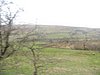 DSCN7714.JPG