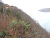 DSCN7731.JPG