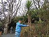 DSCN7757.JPG