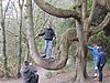 DSCN7759.JPG