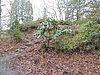 DSCN7772.JPG