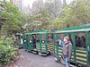 DSCN7775.JPG