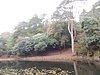 DSCN7776.JPG