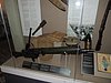 DSCN7857.JPG