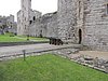 DSCN7864.JPG