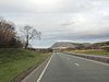 DSCN7869.JPG
