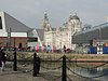 DSCN7905.JPG