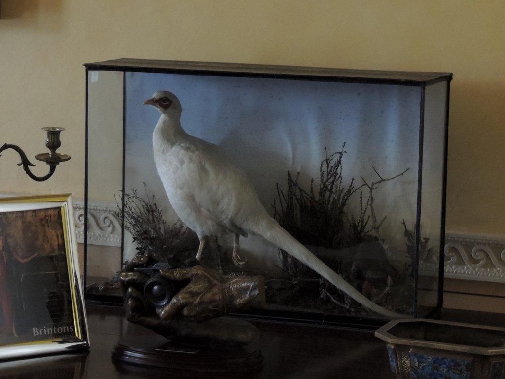 DSCN9050.JPG