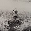 DSCN9047.JPG