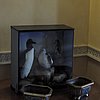 DSCN9049.JPG