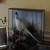 DSCN9050.JPG