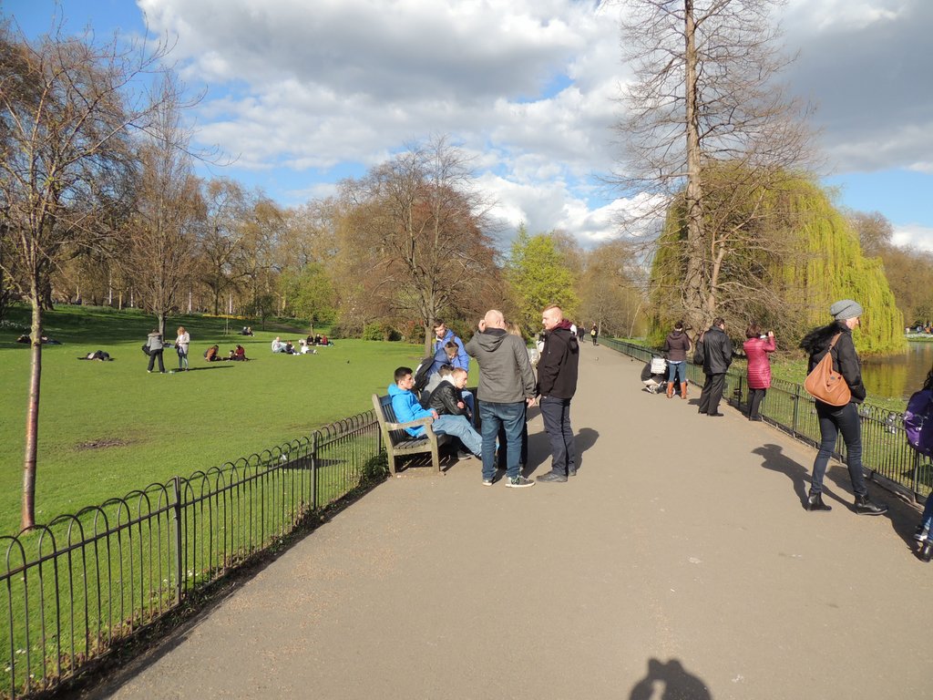 DSCN8222.JPG