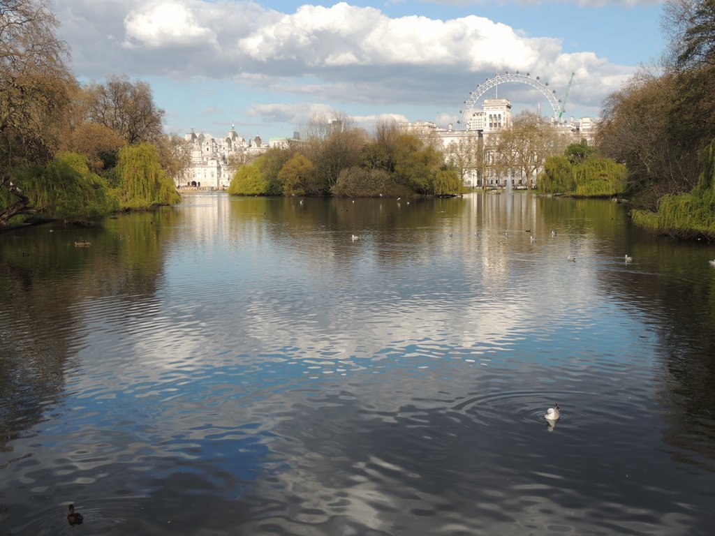 DSCN8224.JPG