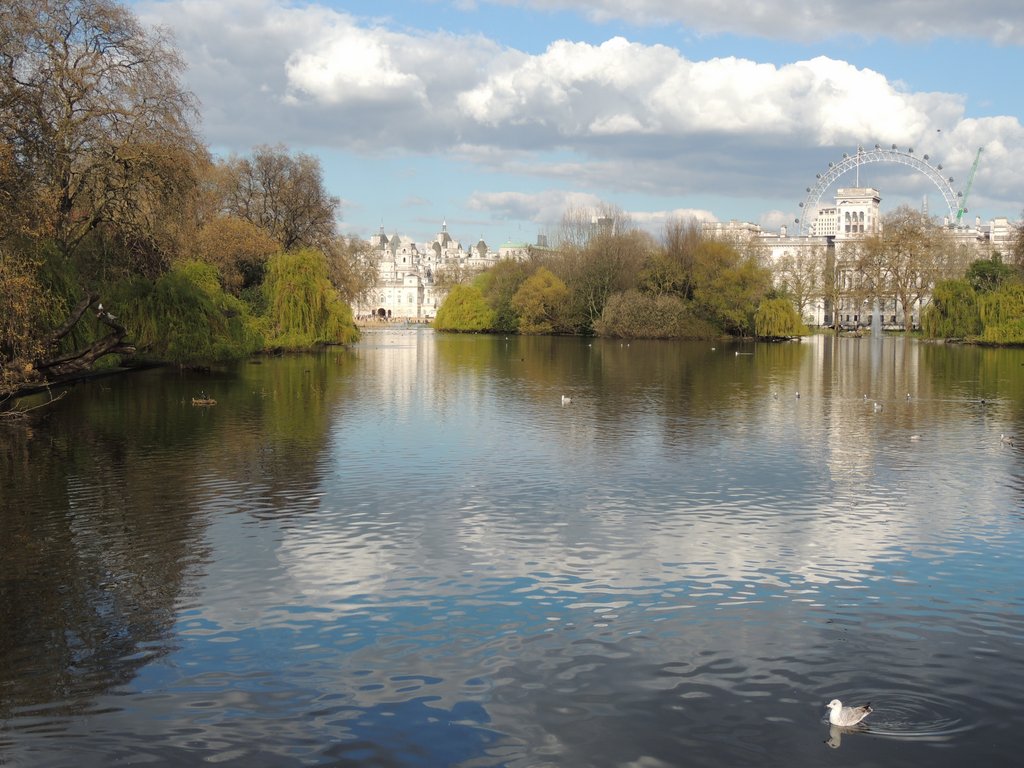 DSCN8225.JPG