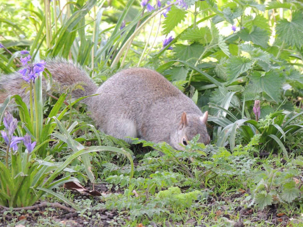 DSCN8229.JPG