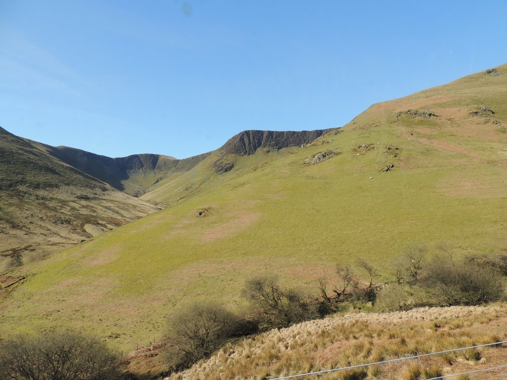 DSCN8346.JPG