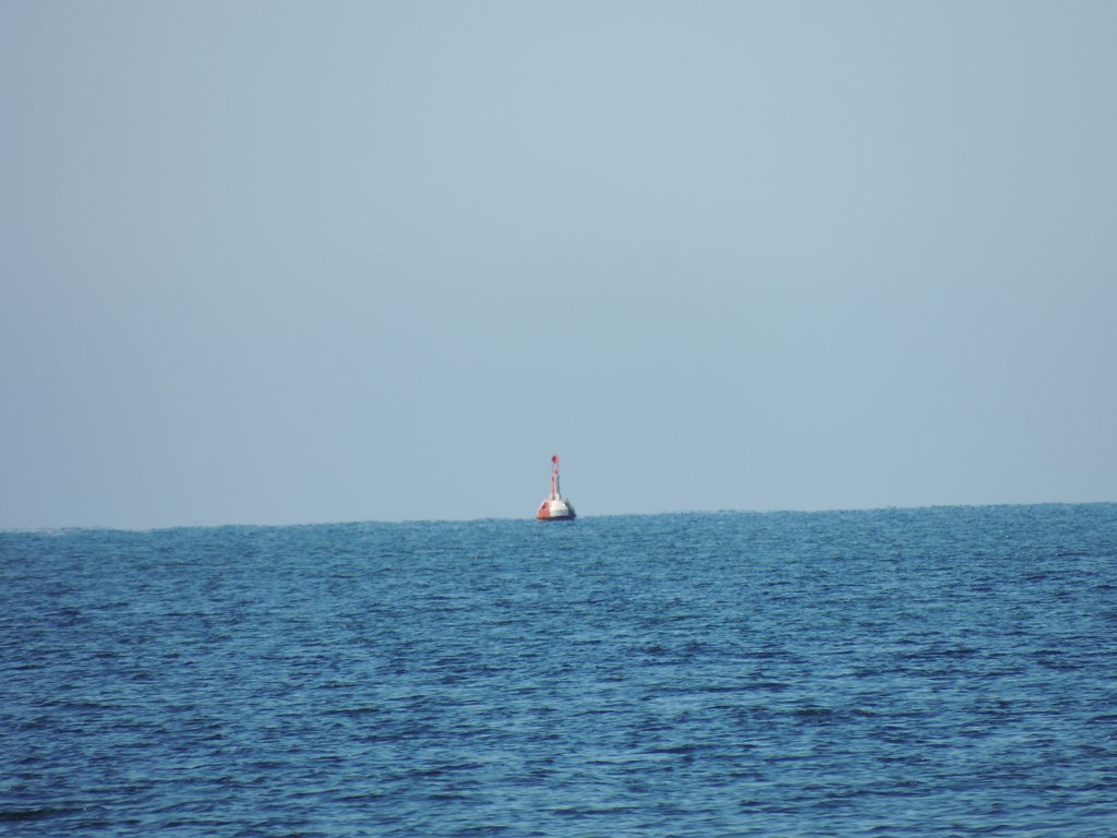 DSCN8407.JPG