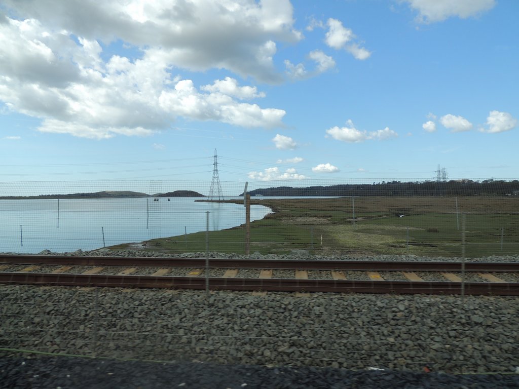 DSCN8416.JPG