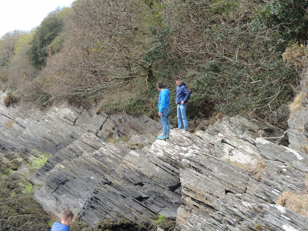 DSCN8438.JPG