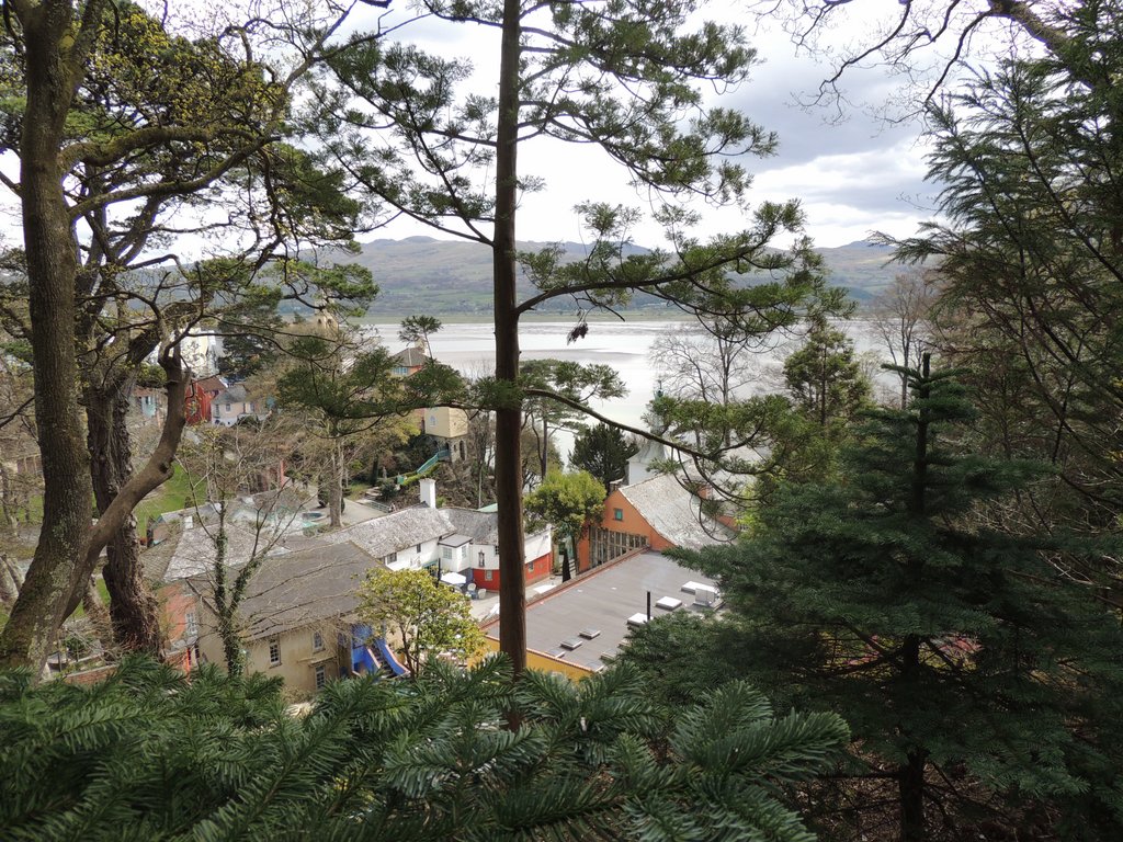 DSCN8478.JPG
