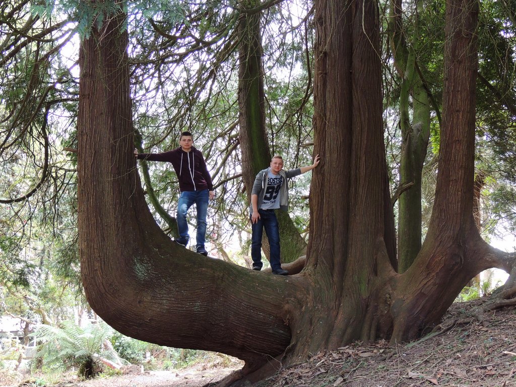 DSCN8496.JPG
