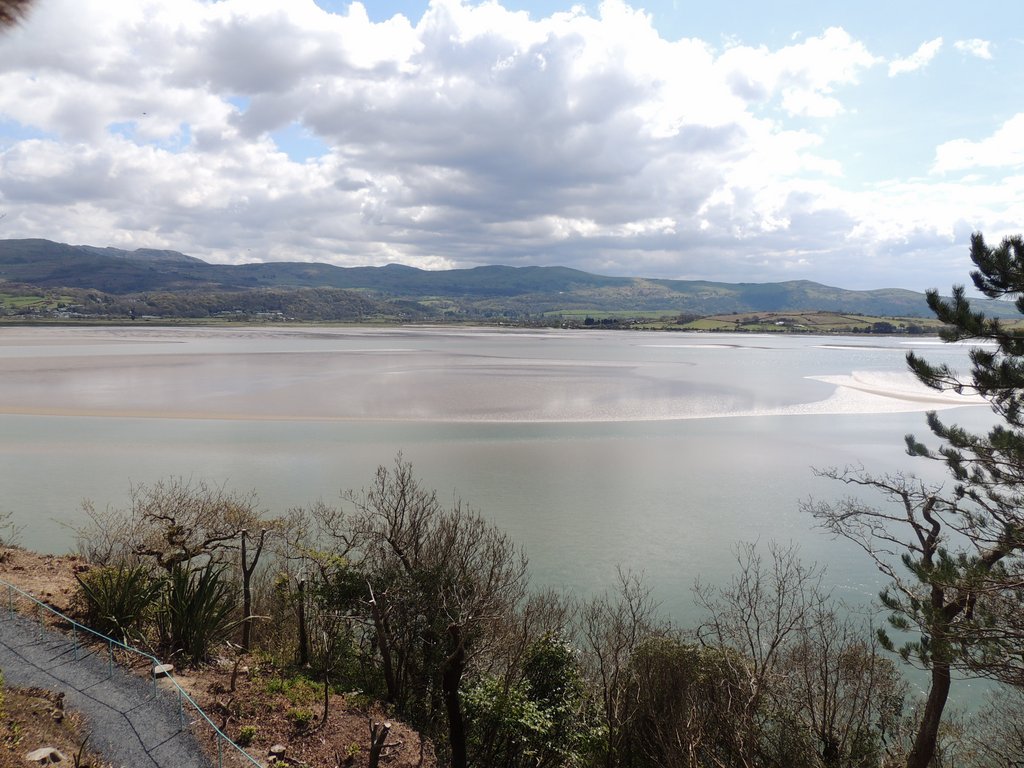 DSCN8513.JPG